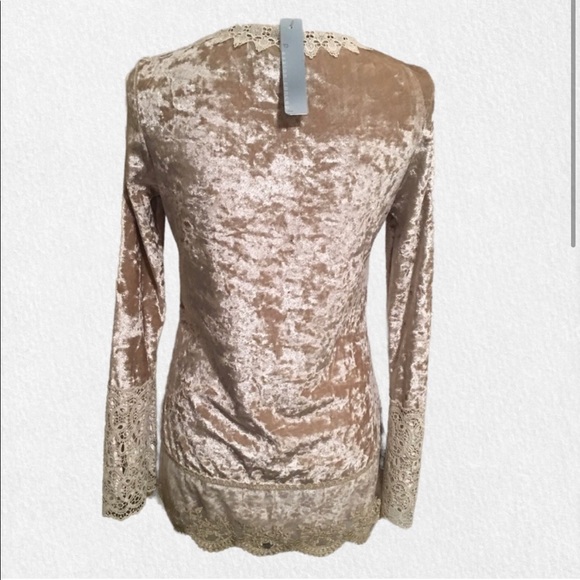 Passion Concepts Khaki/Ivory Velvet Top - Picture 2 of 6